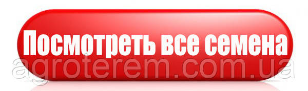 Капуста пекинская Билко BILKO F1 10000с - купить по лучшей цене в Одесскойобласти от компании \